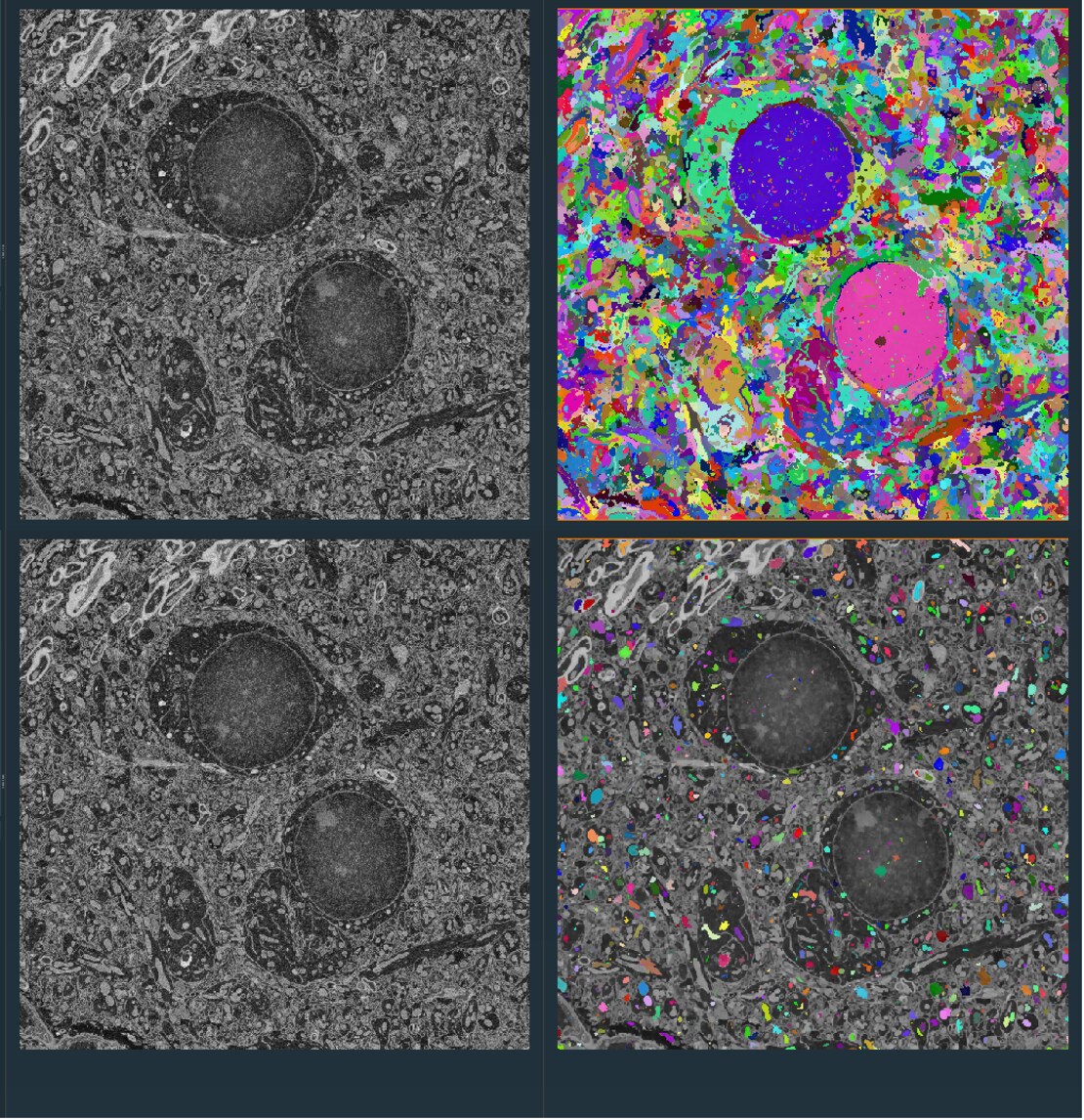 2021-01-15 12_39_25-Amira - GraphBasedSegmentation_volumescope.hx